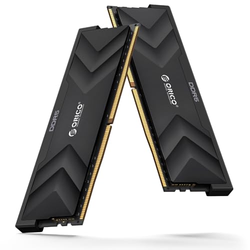 ORICO Raceline Champion DDR5メモリ 32GB (16GB×2枚組) 6400MHz CL32-39-39-102...