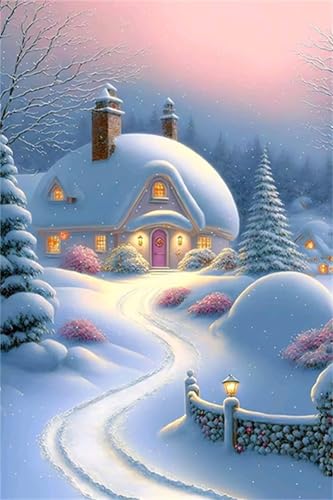 Peinture diamant 5D adulte scène de neige de Noël le cadeau créatif idéal
