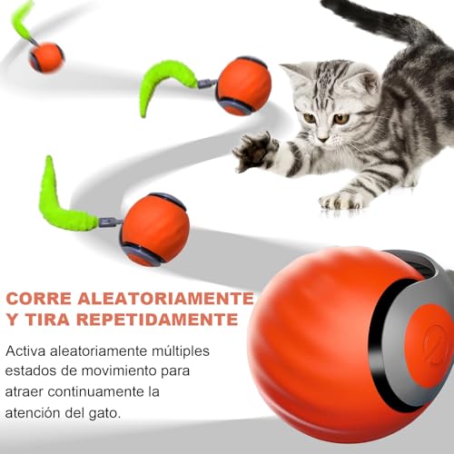 Consejos para Comprar Gato azul , listamos los 10 mejores. 11 Imagen adicional