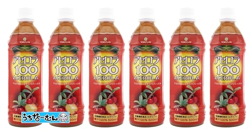 沖縄特産販売 アセロラ100 PET500ml 6本 ＋うちなーむんシール