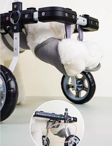 Silla de ruedas todo terreno para patas traseras, soporte ajustable con seguridad reflectante para mascotas pequeñas discapacitadas o lesionadas