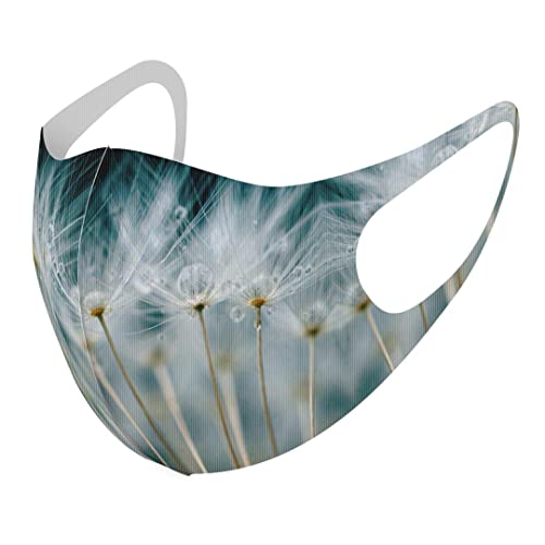 [igsticker] fUC }XN QZbg |GXe 􂦂 z}XN jp MTCY 023193 ۂ Ȗ ʐ^