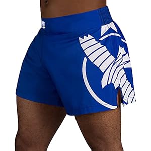 Hayabusa-Mens-Icon-Kickboxing-Shorts Hayabusa Men's Icon Kickboxing Shorts - Blue, Medium