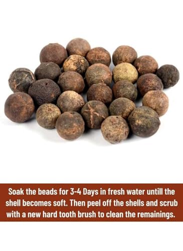 Original Raw Nepal Rudraksha Sacred Fruit-Tears of Lord Shiva for Offer Mahamrityunjaya Rudraksham for Worship Pooja (Pack of 11) Nepali Natural Rudraksha Fruit Brown Rudraksh Lab Certified