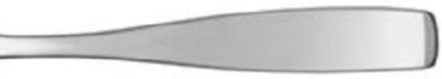 Mikasa Satin Loft 18/10 Stainless Steel Salad Fork (Set of Twelve)