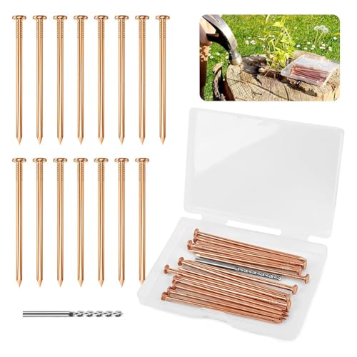 Bloepum 25 Pieces Copper Nails for Killing Tree Stump, 3.15 Inch Copper Nails with Drill, Stake Removal Nailer for Trees