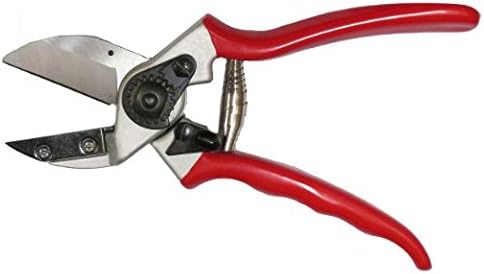 Zenport QF31-10PK Anvil Professional Pruner 1 in. Cut 8.3 in. Long F31 Compatible, Box of 10
