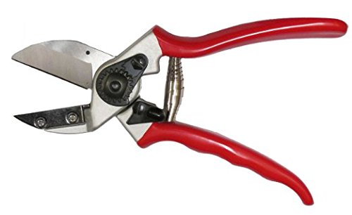 Zenport QF31-10PK Anvil Professional Pruner 1 in. Cut 8.3 in. Long F31 Compatible, Box of 10