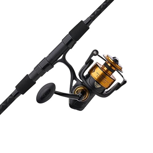 Penn Spinfisher VII Combo