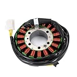 Material: Motorrad-Zündstator-Magnetspule. Hergestellt aus magnetisch leitendem Material, um magnetische Verluste zu minimieren.
