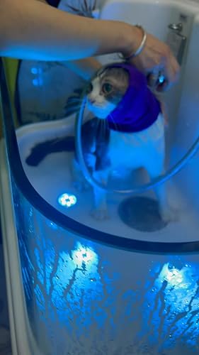 Image of Cat Ear Cove, Keep Calming Anxiety Relief Cat Sood for Bathing, Grooming, Thunder & Fireworks Wine+Blue S