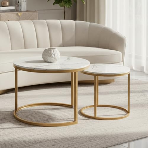 Homy Casa 23.6inch Round Coffee Table Set of 2, Modern