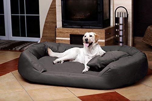 PETITUDE Luxurious & Durable Polyester Filled Soft Dual Colour Dog/Cat Bed (XXL) (B08Y6V2CY4) Amazon Price History, Amazon Price Tracker