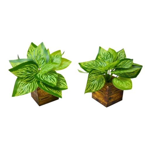 Image of DecoreBugs Artificial Real Touch Flower Plant with Pot (Pack of 2), 16 cm Height, Decorative Faux Floral Plant for Home, Office, Living Room, Bedroom, Table & Shelf Decor
