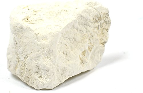 EISCO Chalk Limestone Specimen (Sedimentary Rock), Approx. 1