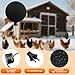 Chicken Water Heater for Winter, 6'' Heated Waterer Base for Metal/Plastic Poultry Waterer, 2-Temperature Settings, Built-in Thermostat (140°F - 194°F), Silicone Coop Heater with 6ft Power Cord (1PC)