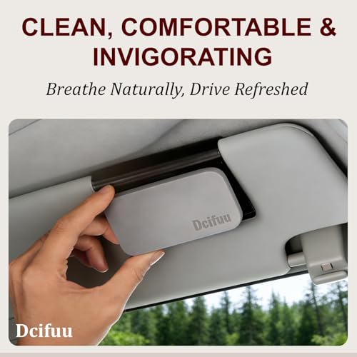 Image of Car Air Freshener - Stone Air Freshener - Car Odor Eliminator - Long Lasting Scent - Car Scent - VISOR CLIP INCLUDED (Candied Apple)