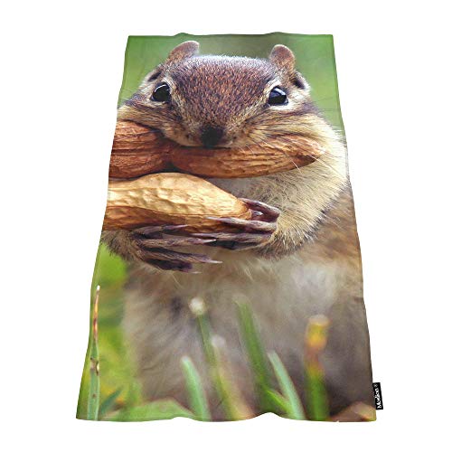 Moslion Soft Bath Towels Squirrel Cut The Nut Comfy Bathing/Beach/Camping Towel for Women Men Girls Boys Large Size 64x32 Inches
