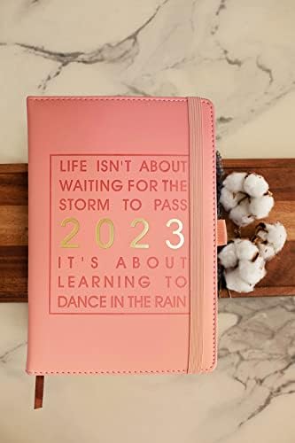 12-Month Daily Planner 2023,Daily Diary 2023 from Jan 2023 to Dec 2023, Best Agenda & Daily Calendar to Boost Productivity & Gratitude Journal Personal Daily Organizer  14.5x21.5cm (Pink)