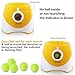 Interactive Outdoor Pet Tennis Dog Ball Throwing Machine with 10-30Ft 3 Launching Distance, for USB Rechargeable Ball Thrower, for Energetic Dogs (Orange)