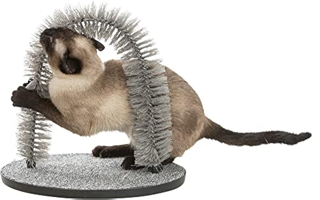 TRIXIE Cat Massager and Self Grooming Arch, Bristle Ring Brush, Carpet Base Scratcher, Cat Self Groomer, Gray, Small-T72mMzHl