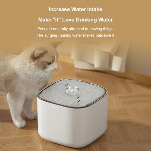 Fuente de agua para gatos automática 3L USB miniatura 3