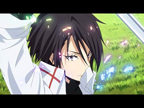 第30話 動き出す麗人