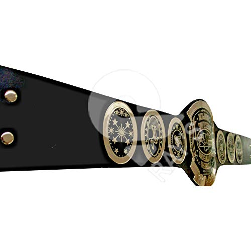Ray's Adult Size Southern Heavyweight Wrestling Champion Replica Leather Belt with 4mm Brass Plates4