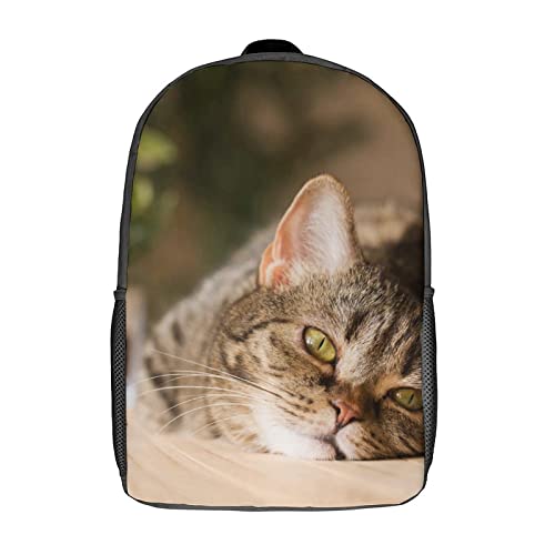Sac à dos garçon fille à motif chat pour soulager le dos à l'école