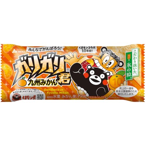 [アイス] 赤城乳業 ガリガリ君九州みかん 105ml×10個（Amazon）