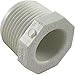 1" MNPT PVC Plug Sched 40