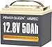 Power Queen 12.8V 50Ah LiFePO4 Lithium Batterie, 640Wh, 4000-15000 Zyklen, 10 Jahre Lebensdauer, Ersatz für Blei-Säure, Ideal für Solar, Wohnmobil, Camping