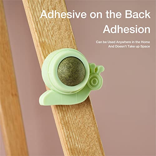 Bola de parede catnip - Brinquedo de Bolas de Catnip em Forma de Caracol para Gatos Limpeza de Dente