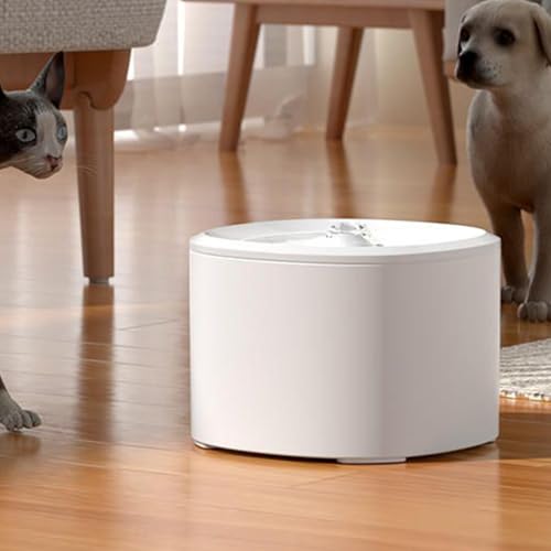 Fontaine à eau pour chat avec débit continu et triple filtration haute performance