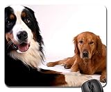 Tapis Souris, Golden Retriever Bouvier Bernois Animal Mouse Pad Antidérapante Gamer Mouse Pad Confort Tapis De Gaming pour Professionnels Pc Souris 25X30Cm