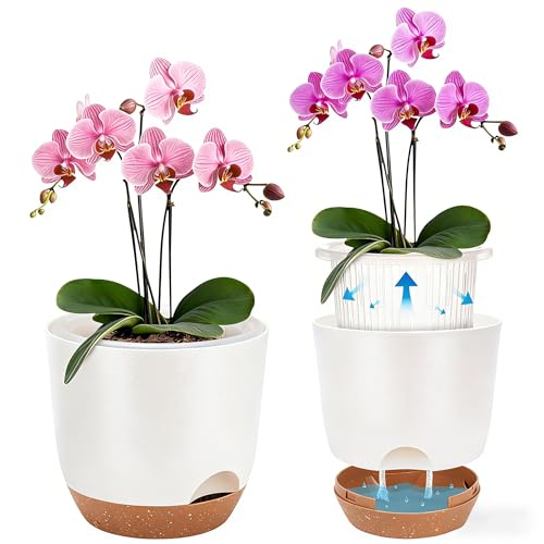 Sxueg Self Watering Orchid Pots for Indoor Plants 5.8 Inch Macetas para Orqudeas Flower Pots for Indoor Plants with Holes(White)