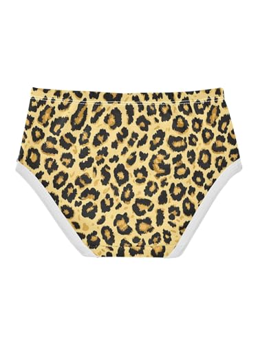 ZZKKO Vintage Leopard Pattern Girls Underwear Toddler Panties for Girls Comfort Brief Size 2T2