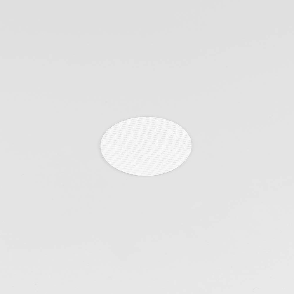 GVS Filter Technology, Filter Disc, PTFE, 0.22µm, 47mm, 100/pk