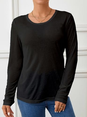 Mesh Sheer Long Sleeve T-Shirt for Women See Through Layer Top for Spring and Fall Streetwear Outfits2