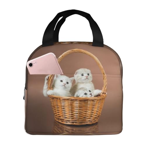 `obO L ۗ ۉ ٓobO  RpNg O|Pbgt ~jg[gobO p肳obO fB[X Y ʋ ʊw s fB[X Y qp