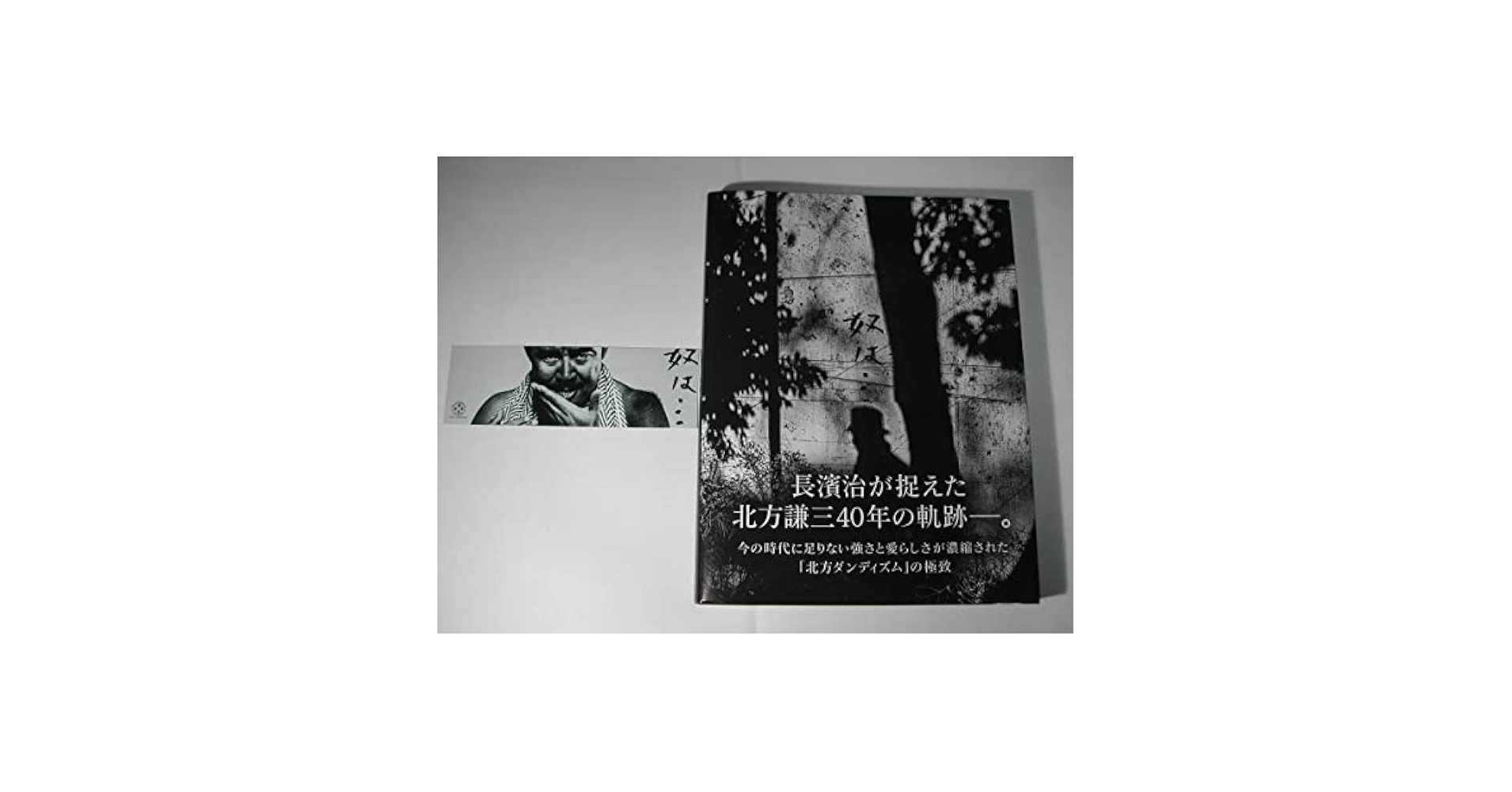 掛軸 横幅 山下関城「游鯉」共箱 山元春挙・高橋秋華に師事 m44001883483_1.jpg?1711850733