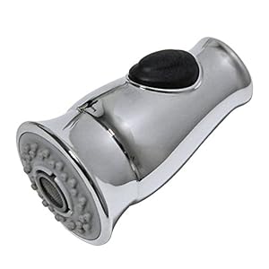 DANCO Smart Spray Traditional Kitchen Pull Down Sprayer Replacement, Faucet Pull Down Faucet Spray Head, Chrome, 1-Pack (10723)