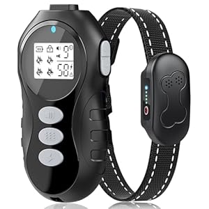 Collar de choque para perros con control remoto – Collar de choque para perros IPX7 impermeable collar de entrenamiento para perros con vibración pitido con pitido de corrección estática, linterna de