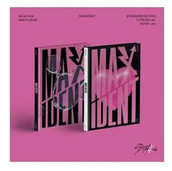 Stray Kids スキズ MAXIDENT フルセット 封入コンプリート StrayKids スキズ MAXIDENT フルセット Stray Kids スキズ