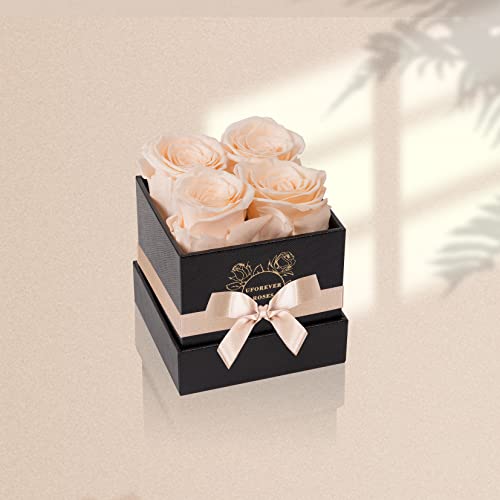 4-Piece Preserved Roses in a Box, Preserved Flowers, Roses Gift for Her, Buttermilk - Image 3