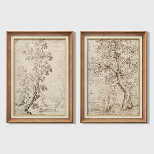 MUDECOR Premium Framed Wall Art Vintage Tree Sketch Botanical Line