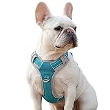 【Totalmente reflectante para mayor seguridad】: nuestro arnés para perros pequeños está diseñado con tela tejida totalmente reflectante, brillante, fácilmente visible, ayuda a tu perro a destacar contra cualquier paisaje día y noche, lo que garantiza la seguridad de tu perro. Tamaño pequeño para perros pequeños como Chihuahua, Havanese, Corgi, Pug, Puggle, Terrier, etc.