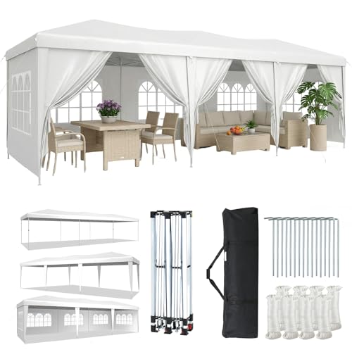 Aoxun 10x30 canopy image