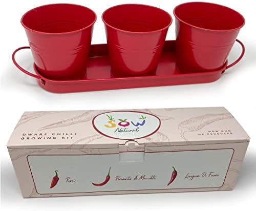 Sow Natural Chilli Growing Kit - 3 Metal Plant Pots, Windowsill Planter with Non GMO British Heirloom Chilli Seeds, Perfect Grow Your Own Kits for Children & Adults to Plant Indoors & Outdoors.