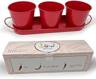 Sow Natural Chilli Growing Kit - 3 Metal Plant Pots, Windowsill Planter with Non GMO British Heirloom Chilli Seeds, Perfect Grow Your Own Kits for Children & Adults to Plant Indoors & Outdoors.